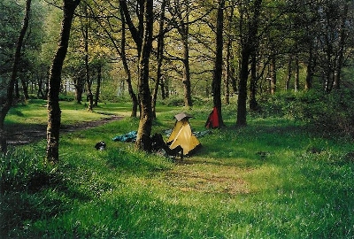 Campsite near Rowardennan Lodge